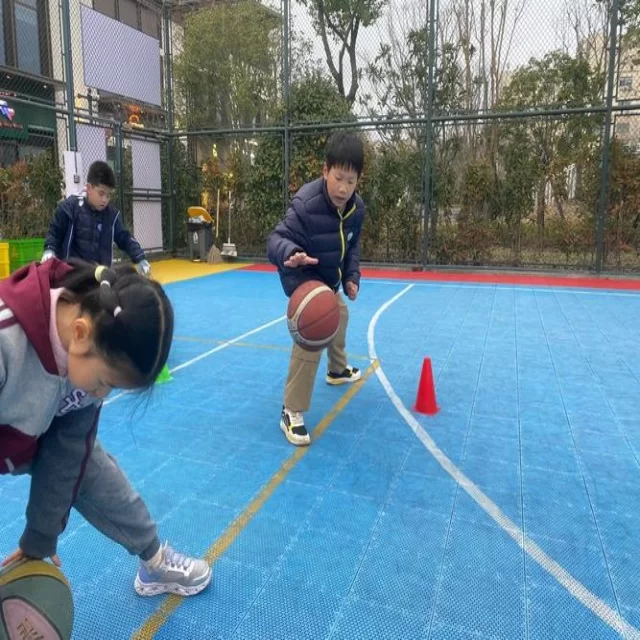 网球红土赛程观察：第63组赛事背后的战略与挑战
